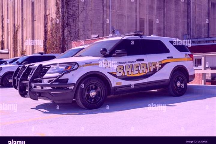escort Millry