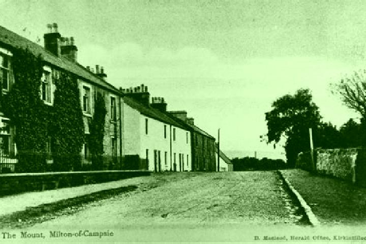 escort Milton of Campsie