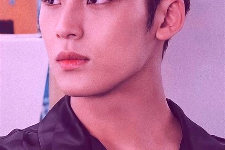 escort Mingyu