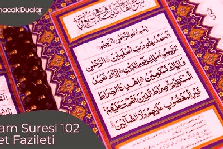 escort Mirdad Muafi