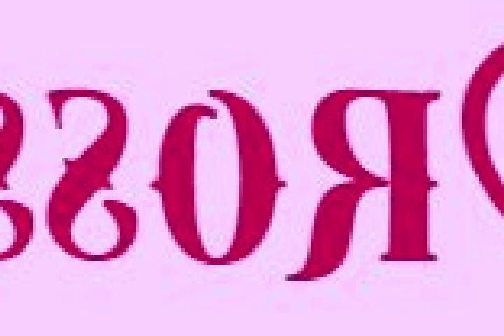 escort Miskolc