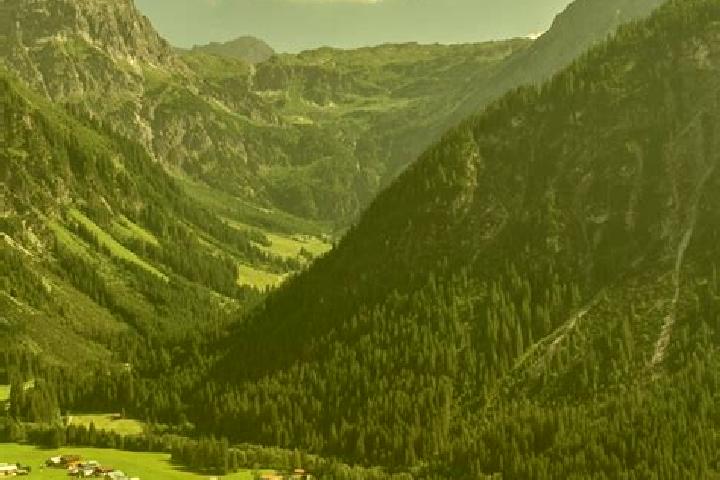 escort Mittelberg