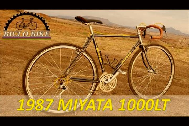 escort Miyata