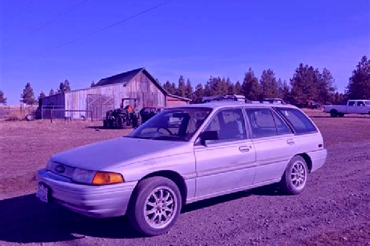 escort Modbury Heights