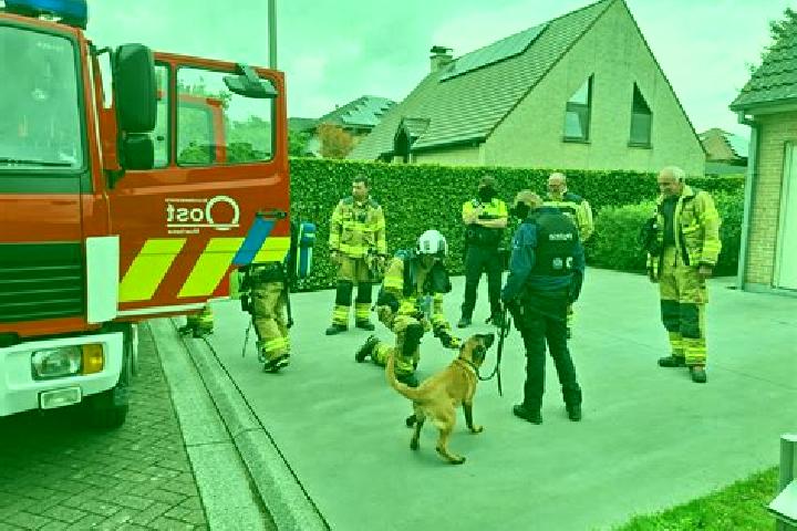 escort Moerbeke