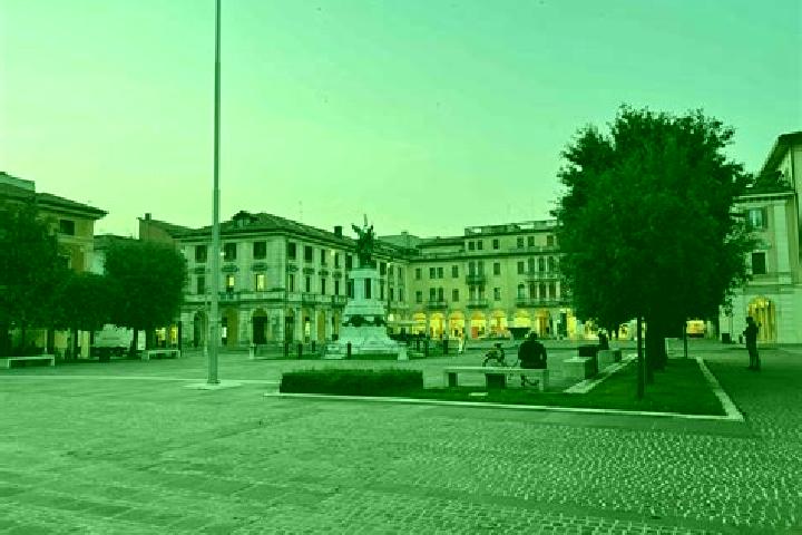 escort Mogliano Veneto