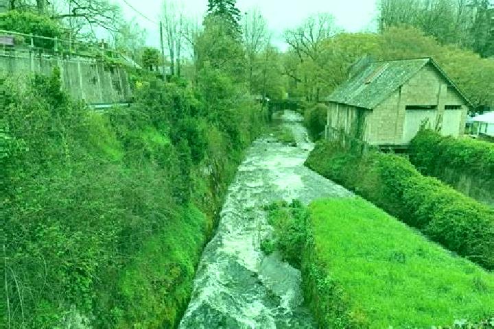 escort Moisdon-la-Riviere