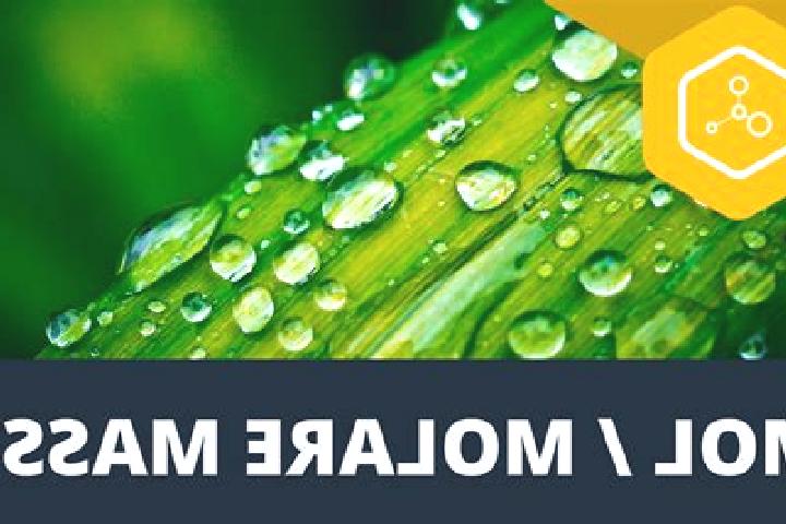 escort Molare