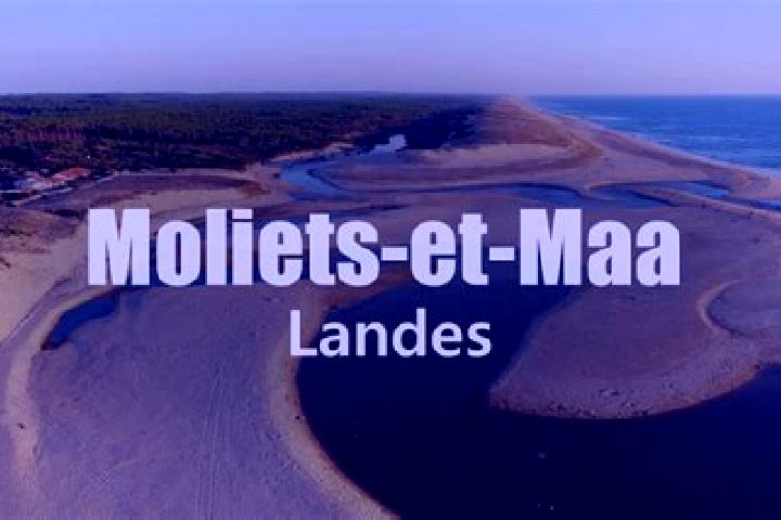 escort Moliets-et-Maa