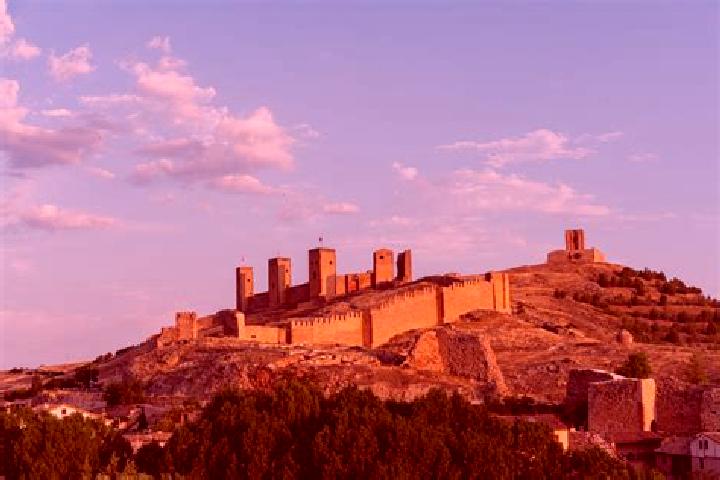 escort Molina de Aragon