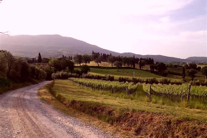 escort Molino-Mozzi-Bittarelli