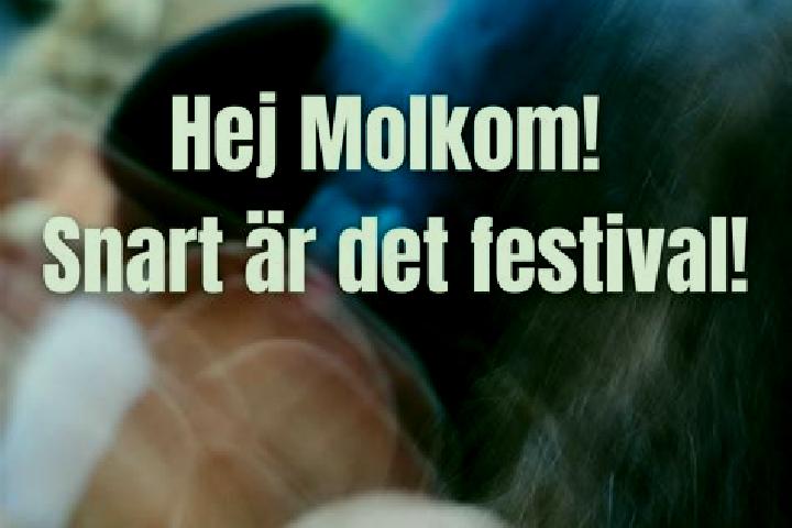 escort Molkom