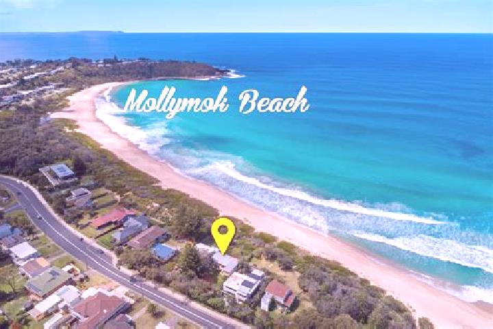 escort Mollymook