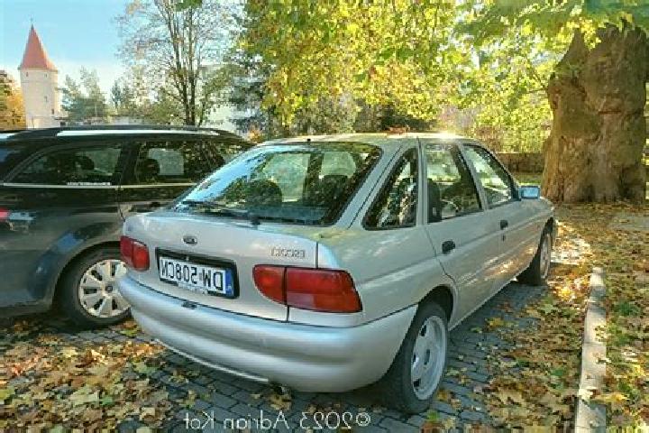 escort Molsheim