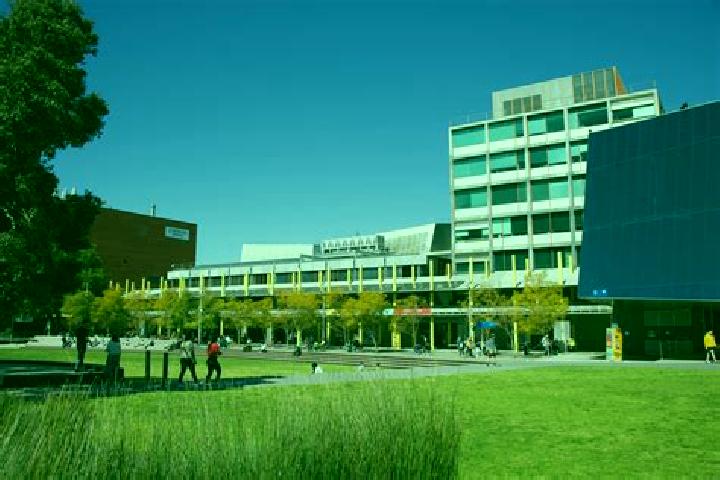 escort Monash