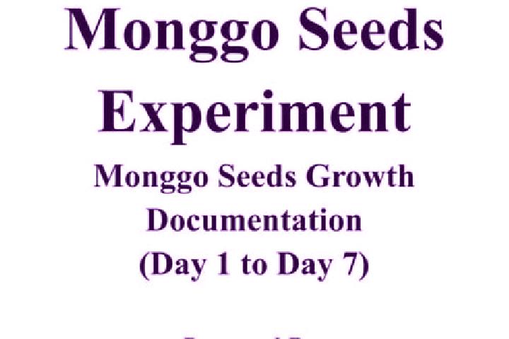 escort Monggo