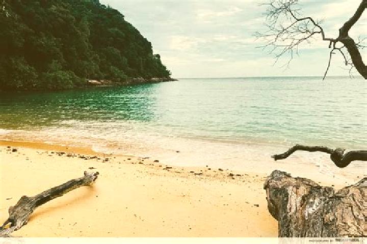 escort Monkey Bay