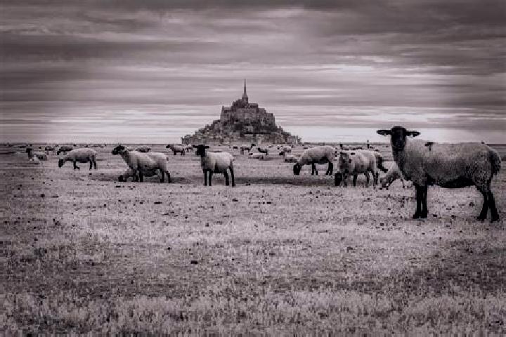 escort Mont-Saint-Jean