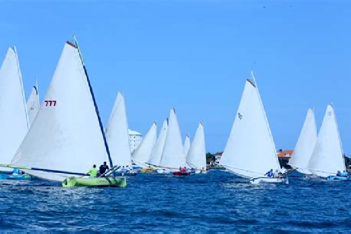 escort Montagu Bay
