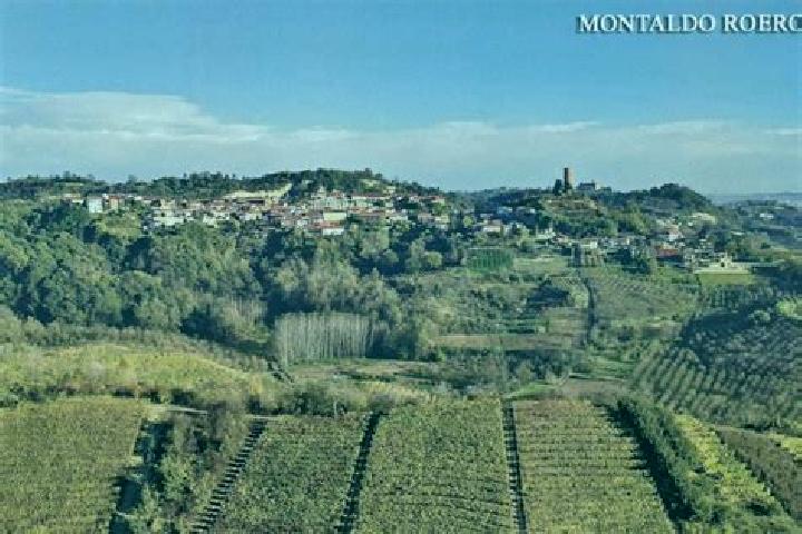 escort Montaldo Roero