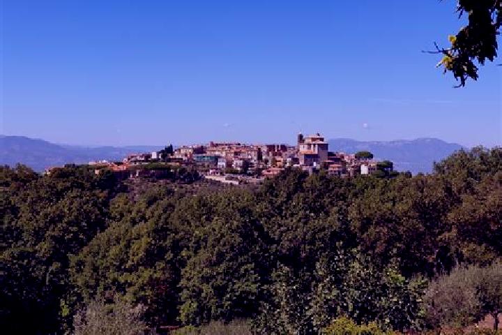 escort Monte Porzio Catone