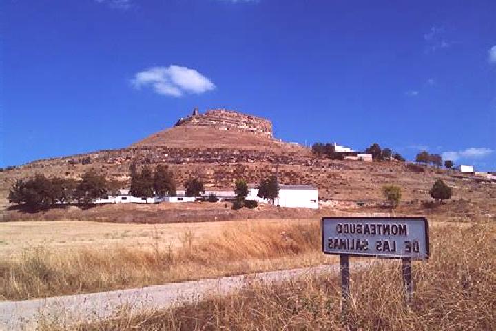 escort Monteagudo de las Salinas