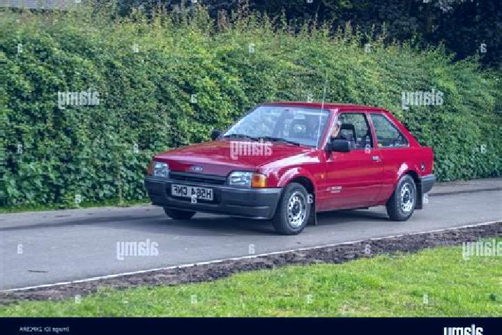 escort Montebourg