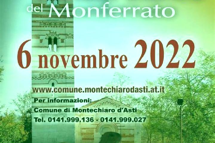 escort Montechiaro d Asti
