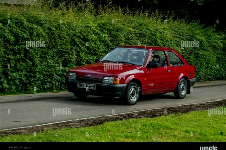 escort Montecorto