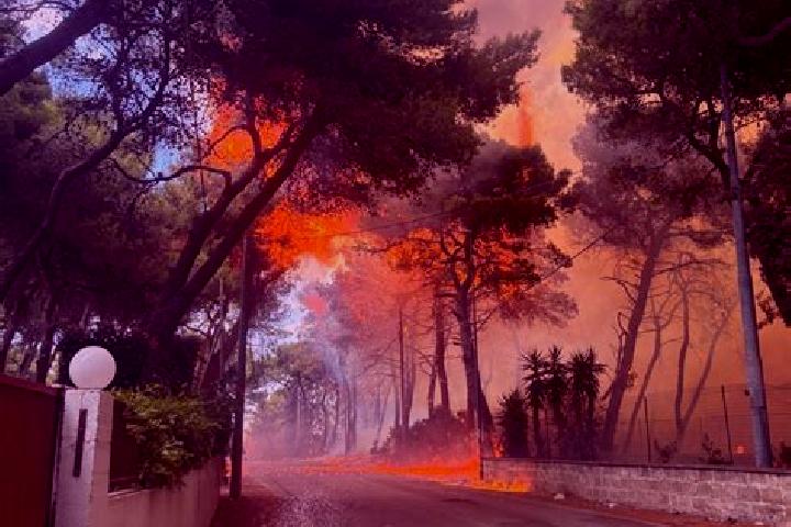 escort Monti d Arena-Bosco Caggione