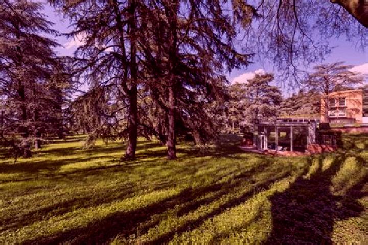 escort Monticelli Terme