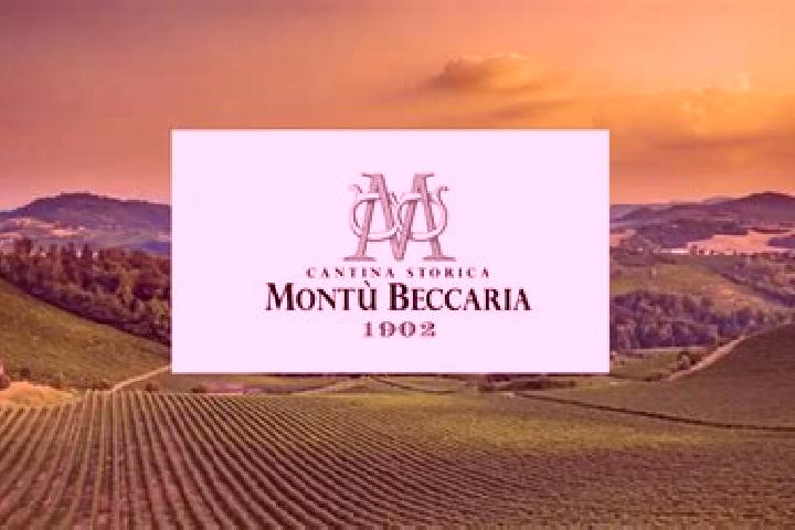 escort Montu Beccaria