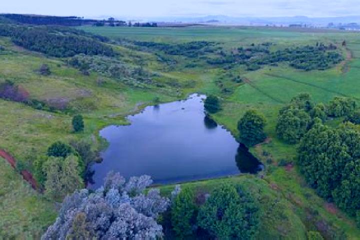 escort Mooi River