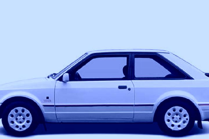 escort Mosgiel