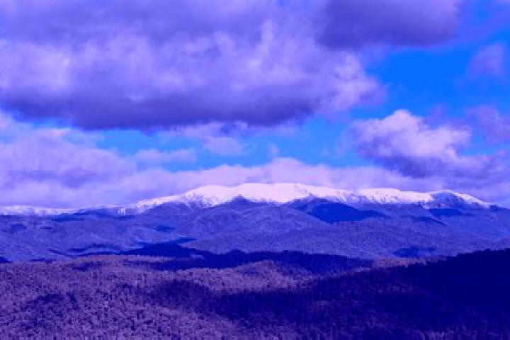 escort Mount Beauty