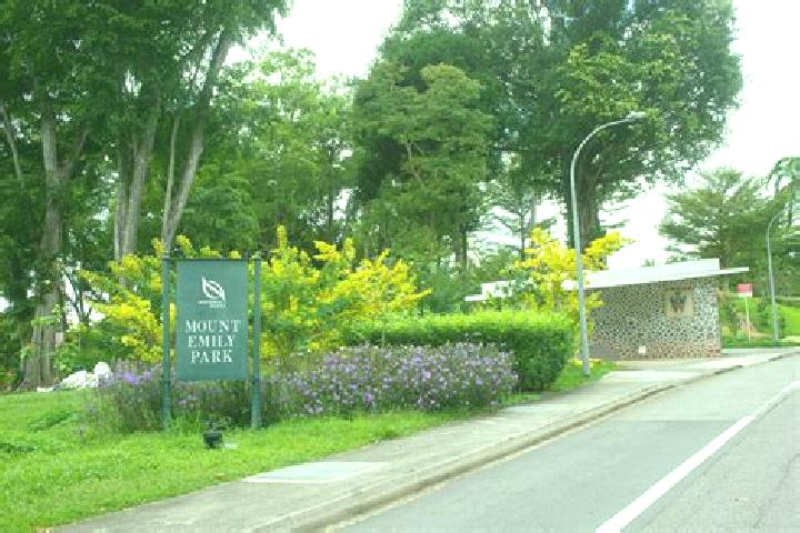 escort Mount Emily Park