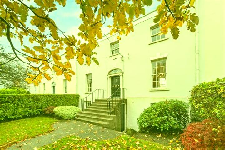 escort Mount Merrion