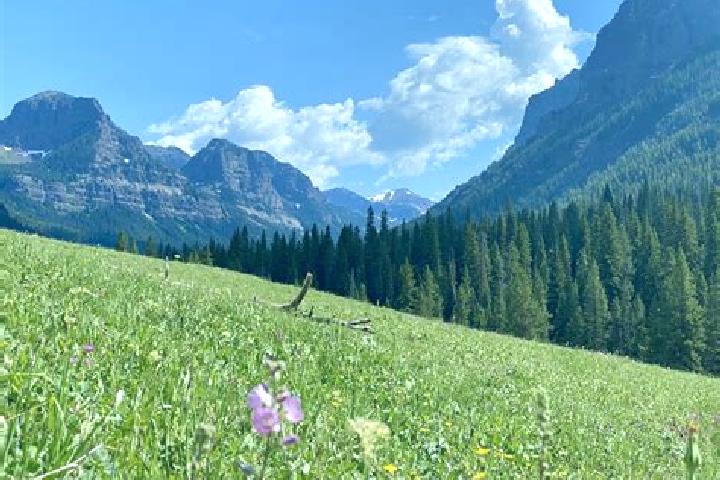 escort Mountain Meadows