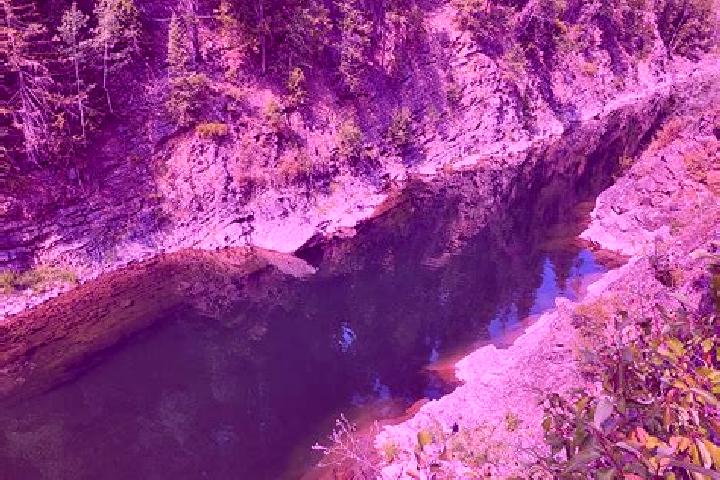 escort Moyie Springs