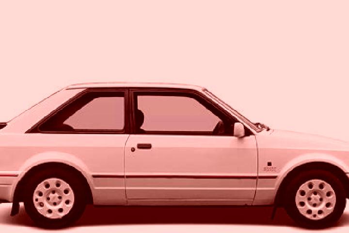 escort Muccia