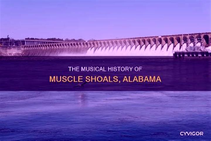 escort Muscle Shoals