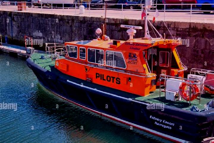 escort Musgrave Harbour