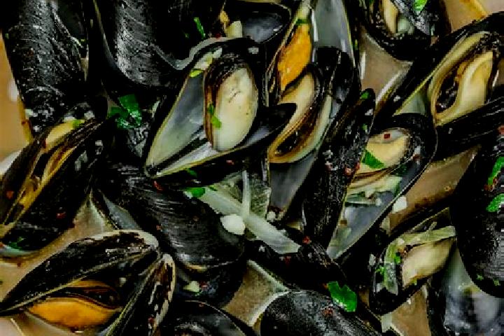 escort Mussel