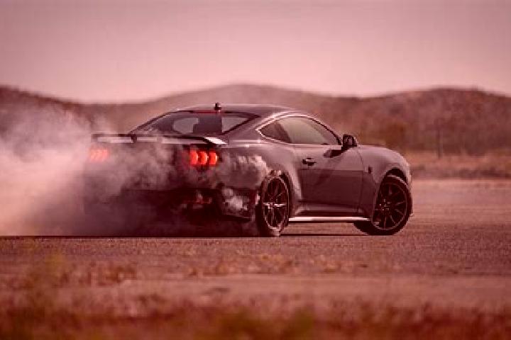 escort Mustang