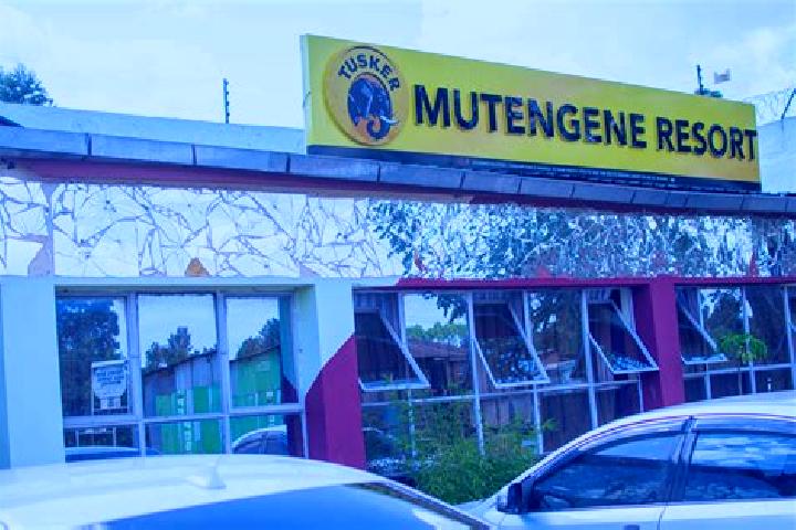 escort Mutengene