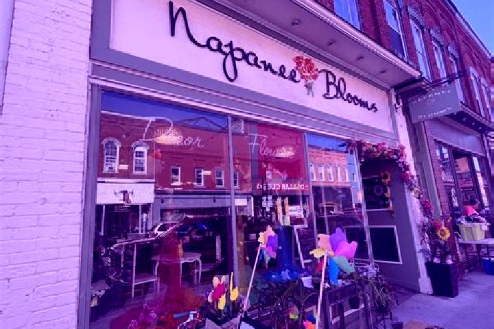 escort Napanee Downtown