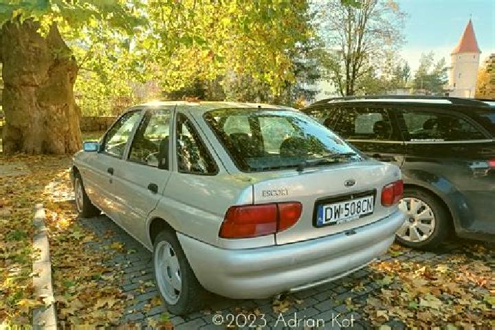 escort Narwana