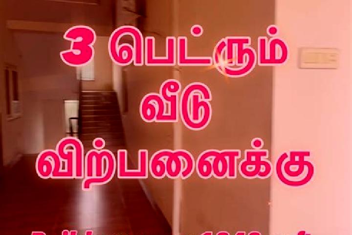 escort Nasiyanur