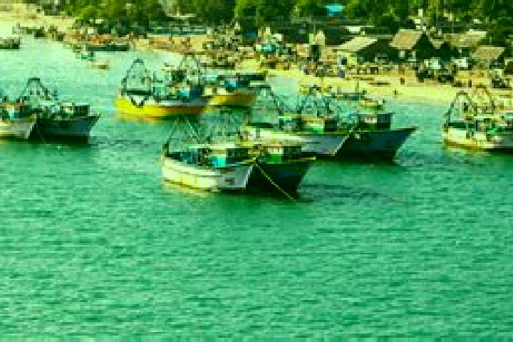 escort Nattarasankottai
