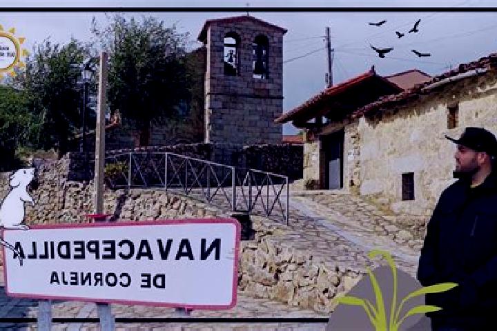 escort Navacepedilla de Corneja